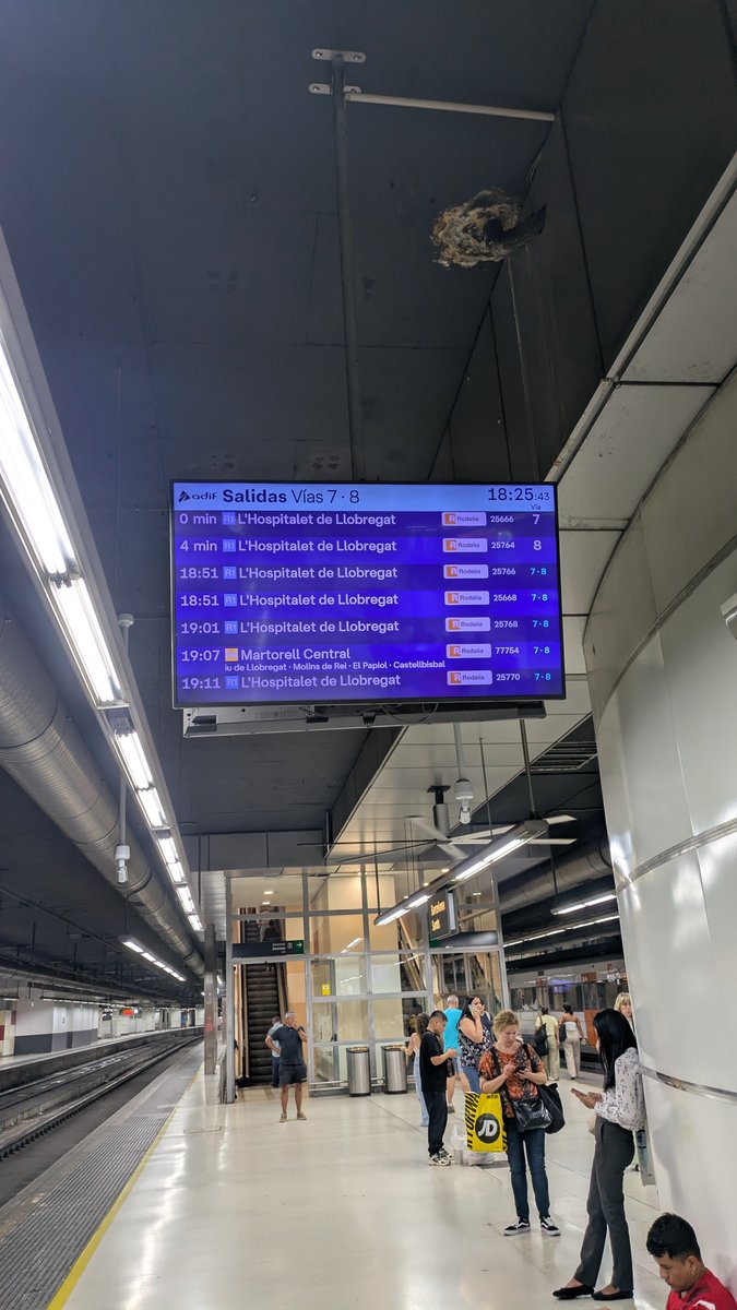 diegomcodor's tweet photo. @rodalies que cojones https://t.co/0Xxmu1ST4A