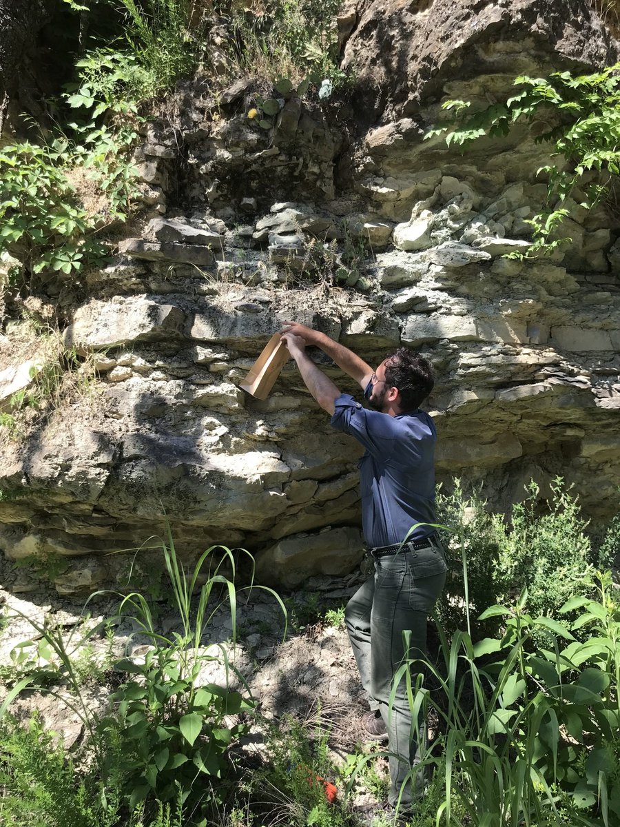 CPCplants's tweet photo. 📷🌿 When you post to CPC's #RarePlantAcademy Photo Gallery, your images of imperiled plant species help the scientific community & the public to better engage with these endangered plants & increase their visibility. 🔗 https://t.co/SZ4YS0p9Tv
#SavePlants https://t.co/P0ldMWCSB3