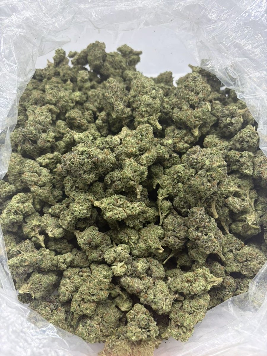 GoldenSgreens's tweet photo. HIGH CHEW ($775)

+1(213) 890-7863 https://t.co/FPrpc96r6K