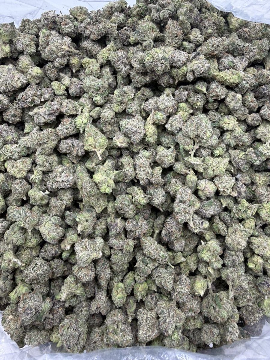 GoldenSgreens's tweet photo. HARD CANDY FUMEZ ($800) https://t.co/2NT83qLCqc