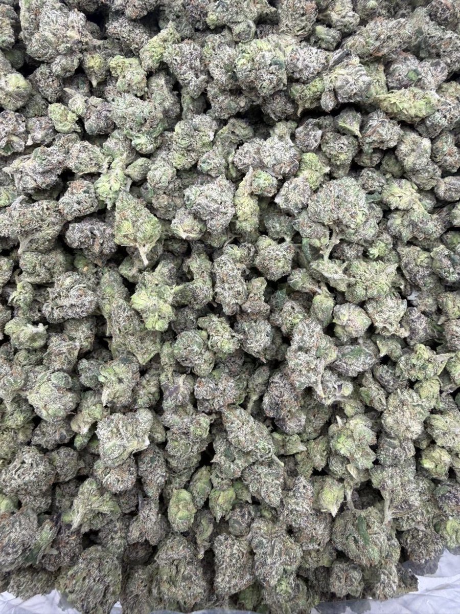 GoldenSgreens's tweet photo. HARD CANDY FUMEZ ($800) https://t.co/2NT83qLCqc