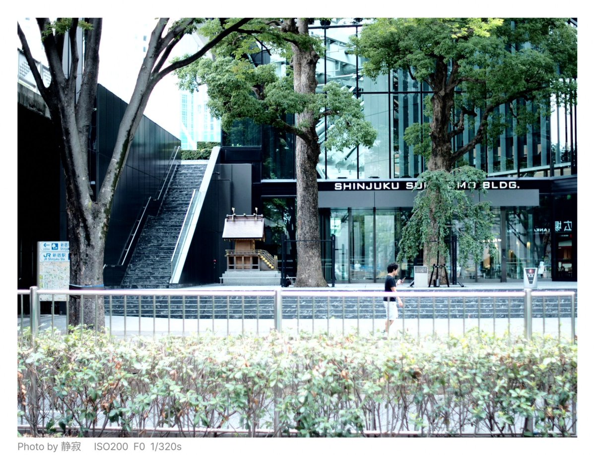 vanssiilva_'s tweet photo. まだ週ボス野良にヴォジャ遭遇した事ないんだよな…来る時ヴォジャでもみんなちゃんと変えるから…ビジュを眺めるだけなんだ https://t.co/hhCdP4Ig6F