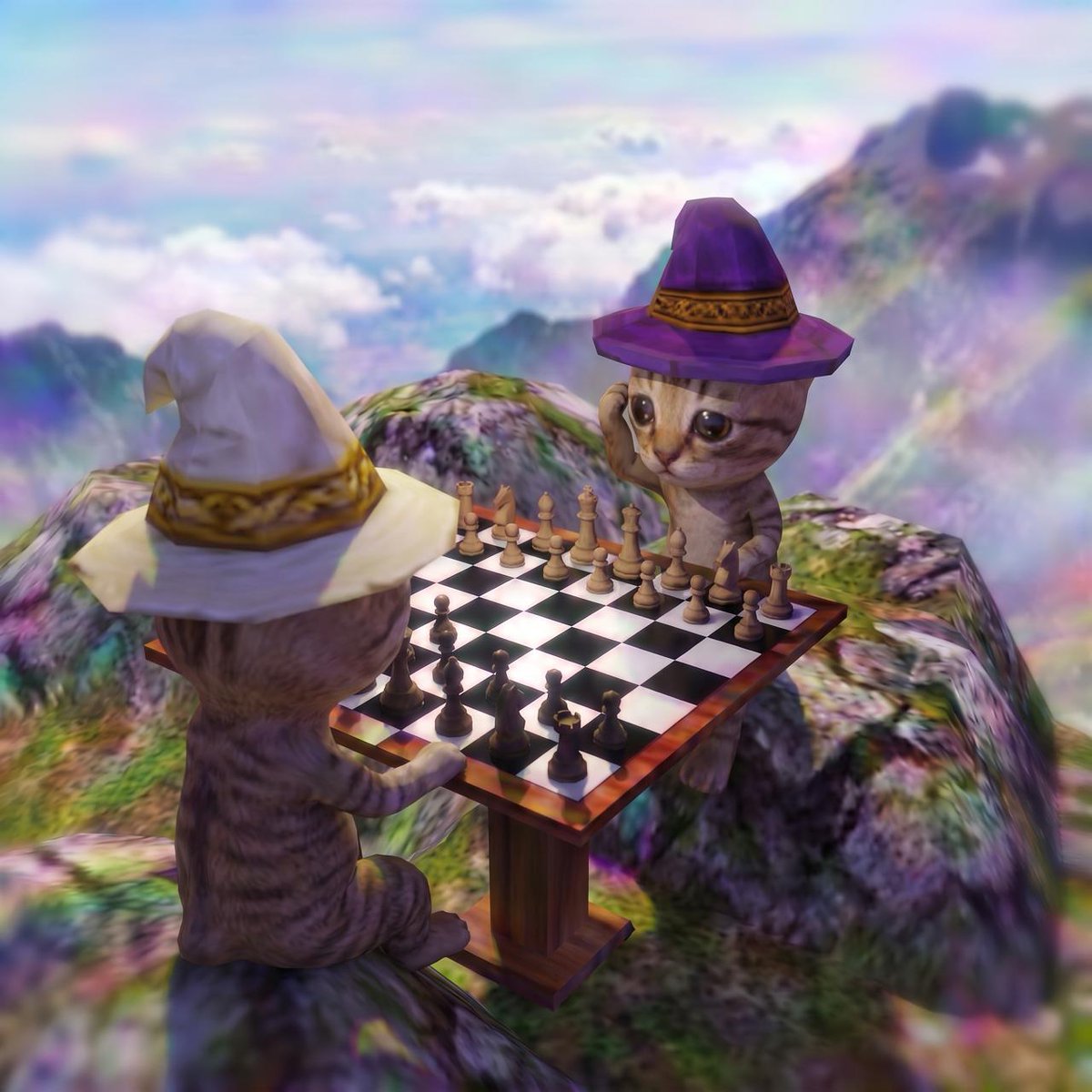 bobcatpf's tweet photo. bobmate ♟️ https://t.co/EWpMYEPnLl