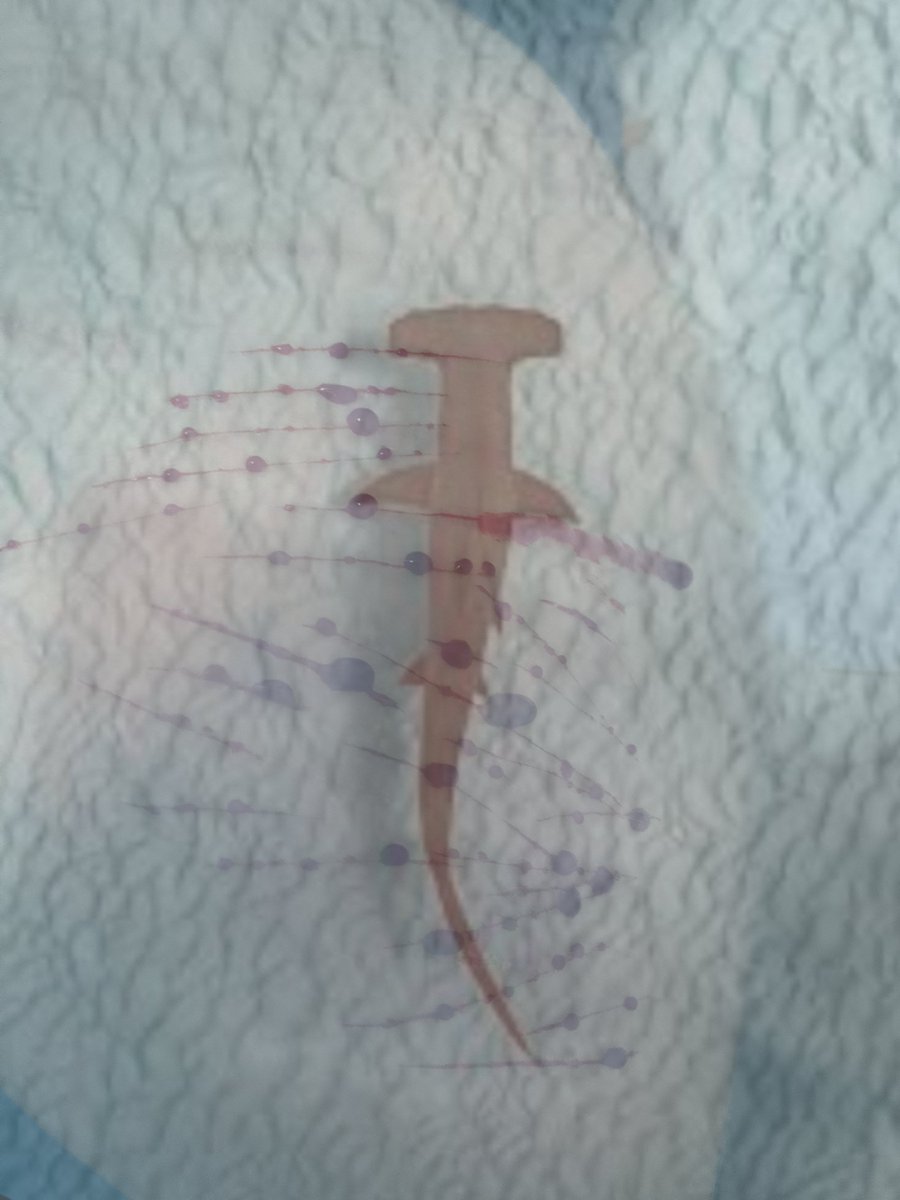 He11uvaLoser's tweet photo. Hammerhead sharks are so cute bro

SFX MAKEUP DON'T SNIPE ME ELON💔
#shedtwt #slittwt #ouchietwt #shedrtwt https://t.co/CwxEbPFBIu