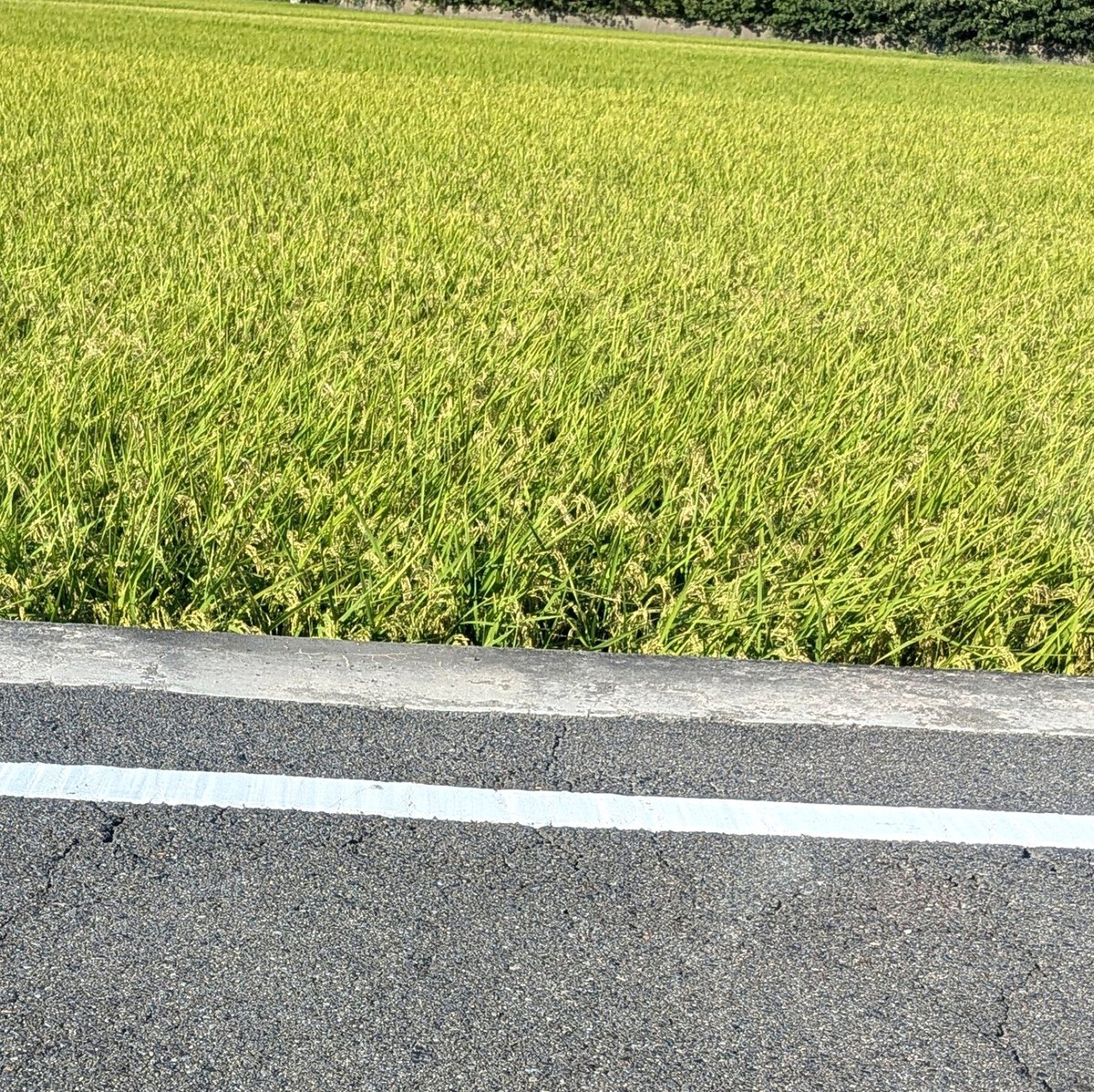 jkl3daisuki's tweet photo. エペもヴァロもスト6もモチベ高すぎて時間が足りない
そして、アニモが俺の帰りを待ってる https://t.co/4L4sCD9dhq