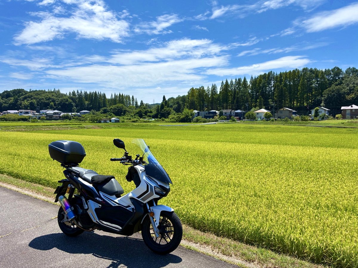 KdalGugu's tweet photo. カラオケ配信始まったら月下ごっこしたい… https://t.co/cZybn7Q0WQ