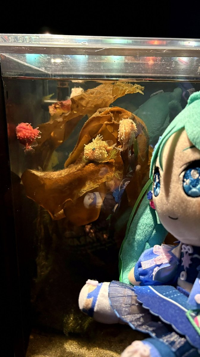 CENGZAVCI1's tweet photo. 推しとバー行く夢と元カノにネトストされる夢と推しと父親が繋がってる夢見た https://t.co/gANAJIqwG0