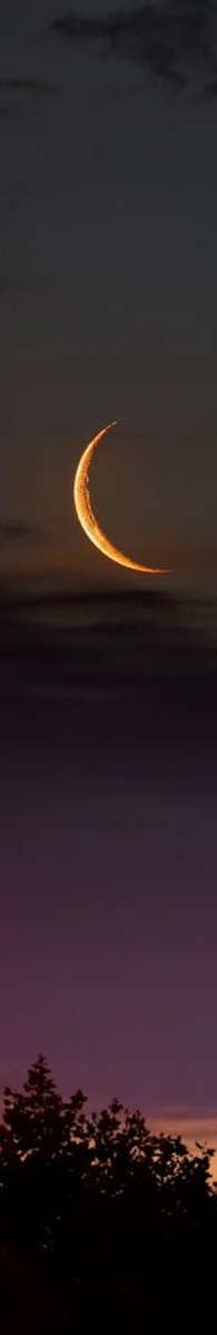 elyradream's tweet photo. moon https://t.co/lq1KNmhCq2