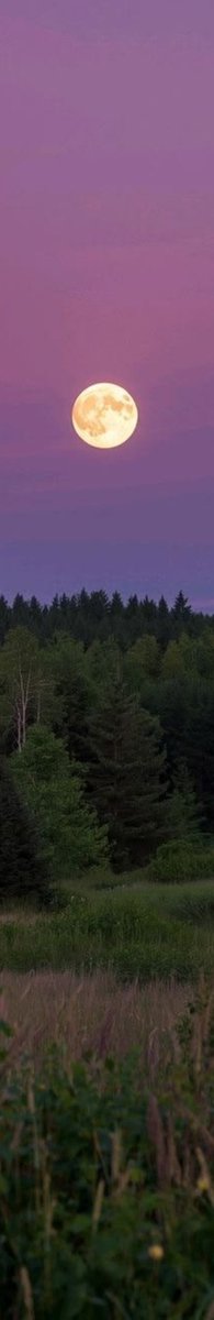 elyradream's tweet photo. moon https://t.co/lq1KNmhCq2
