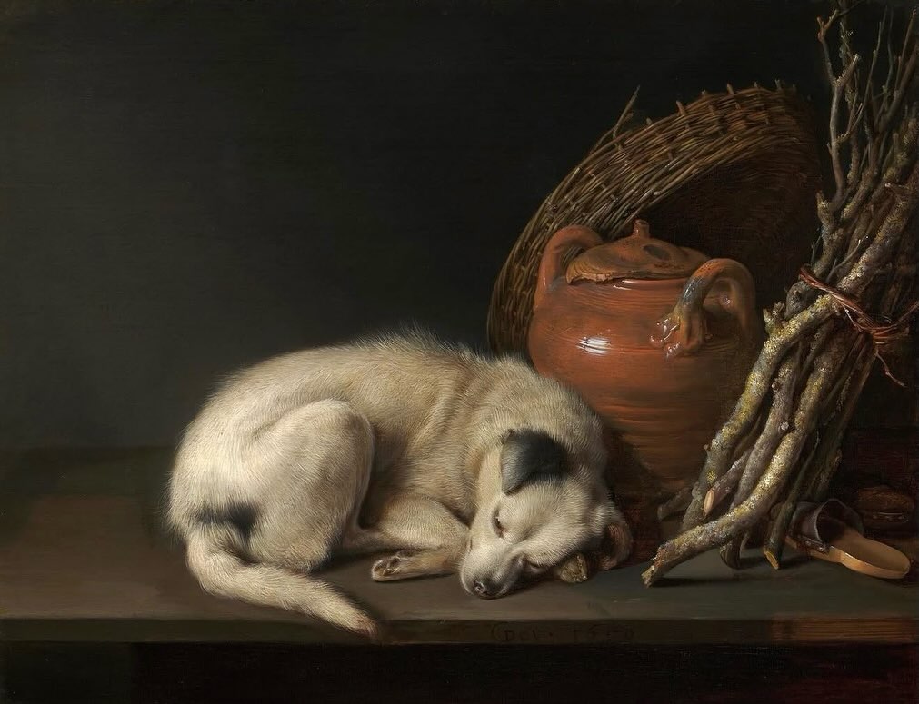 PeiDacquelkn's tweet photo. Nothing stirs strong emotions like a dog. Around 1650, Gerrit Dou painted this sleeping dog. Nothing is happening—and that may be why it is so irresistible. Curled up against firewood, a basket, and a terracotta pot, it simply trusts. Nearly four https://t.co/4DYNKRQXqZ