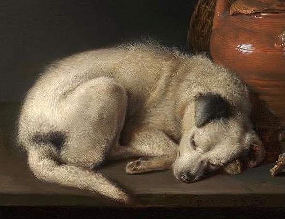 PeiDacquelkn's tweet photo. Nothing stirs strong emotions like a dog. Around 1650, Gerrit Dou painted this sleeping dog. Nothing is happening—and that may be why it is so irresistible. Curled up against firewood, a basket, and a terracotta pot, it simply trusts. Nearly four https://t.co/4DYNKRQXqZ