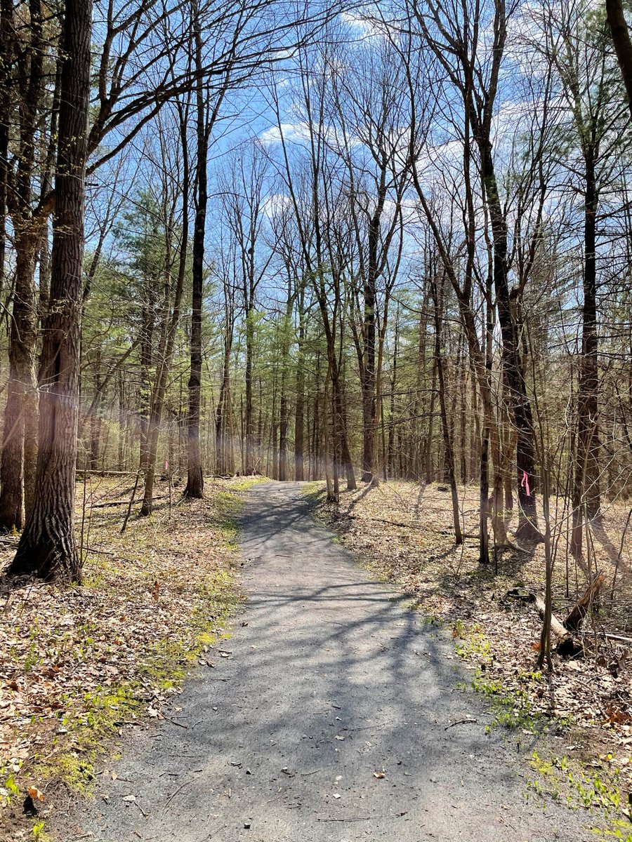 ANationOfMoms's tweet photo. Our hike at 100 Acre Woods, Malta, NY #capitalregionhikes #NYhikes #maltany #capitalregion #albanynyhikes #maltanyhikes #hikingny
https://t.co/zcbPkjgEum https://t.co/jWt8DzgOMW