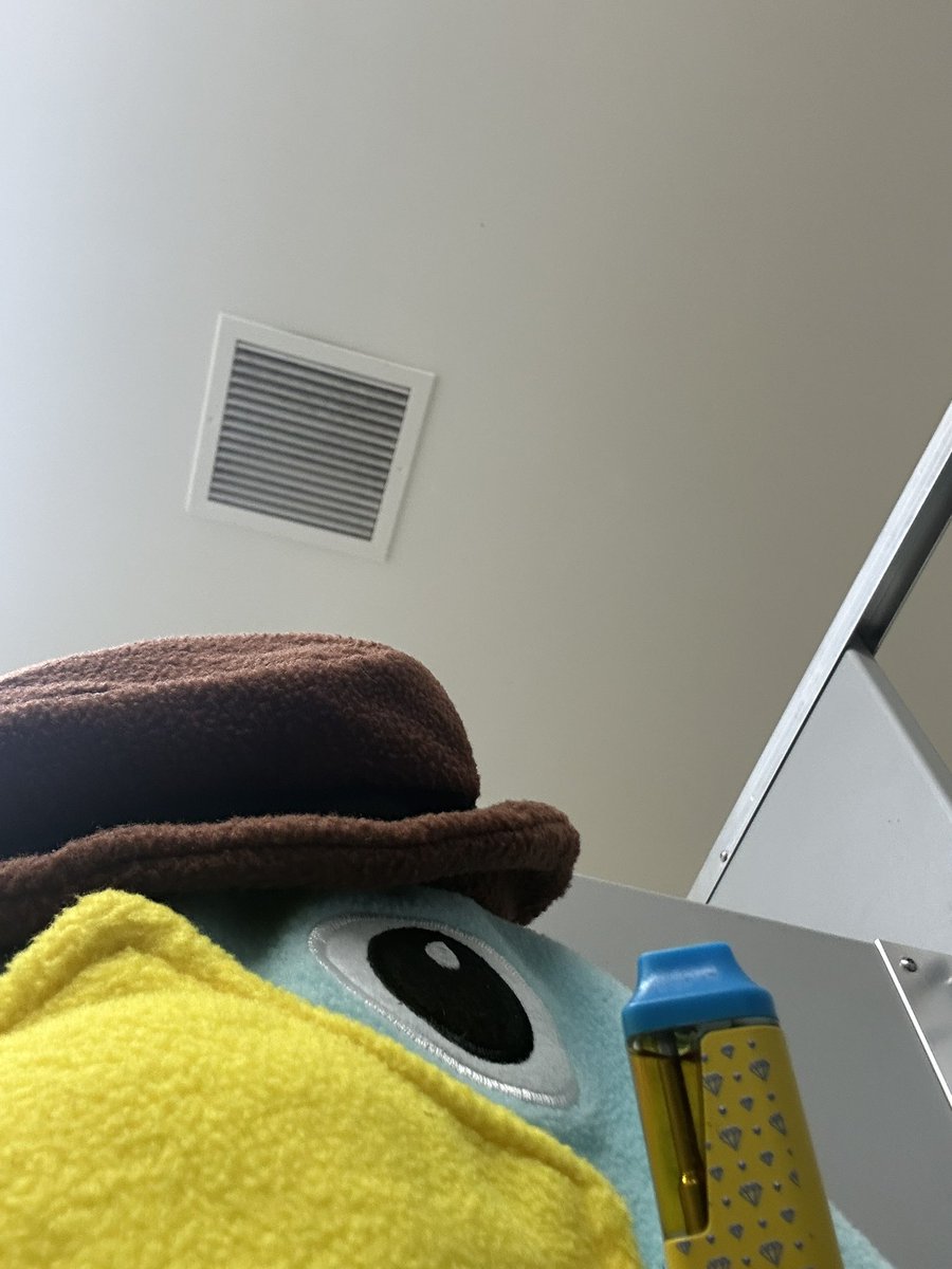 cutthroatbih's tweet photo. who wanna hit the perry cart https://t.co/PectqQrJ4y