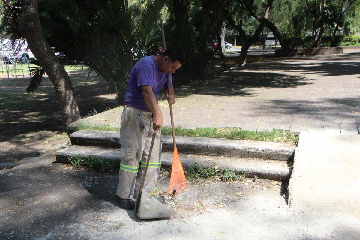 evelyn_parraA's tweet photo. ¡Muy buenos días, mi gente! ☀️❤️

Ya estamos en el Deportivo Oceanía con #TequioEnDeportivoOceanía. 💪🏽🧹🌳

Vecinas, vecinos y nuestro equipo, ¡todos manos a la obra! Porque en #VCarranza somos de territorio, no de escritorio. 👊🏽❤️

#TequioEnTuColonia #LaEnergíaQueTransforma https://t.co/Y4LePgWiQa