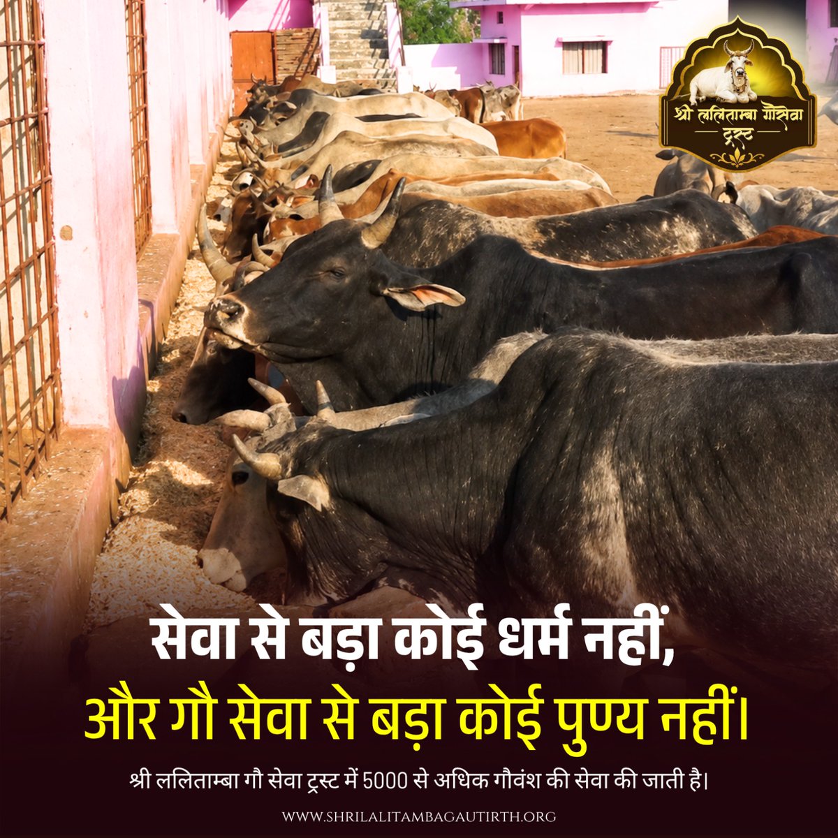 SLGautirth's tweet photo. 🐄🙏 सेवा से बड़ा धर्म नहीं, गौसेवा सबसे बड़ा पुण्य।
5000+ गौमाताओं की सेवा में आपका सहयोग जरूरी है ❤️
Donate Now 👉 https://t.co/Hl5pIXWX1x
#GauSeva #DonateForCause #CharityIndia #GaushalaSupport https://t.co/9VpC909MrS
