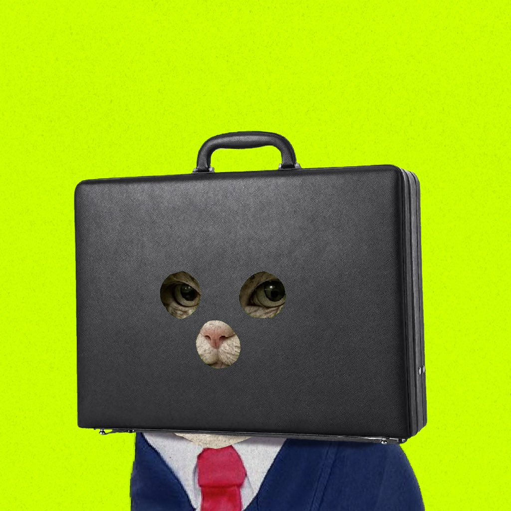zworkcat's tweet photo. @clockincoin cat is clocked in. https://t.co/VyyS9fcKnT