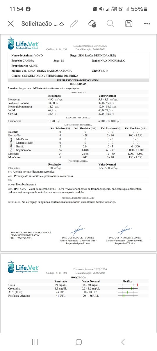 amigosdosonso's tweet photo. 🚨 PEDIDO DE AJUDA URGENTE 

Vovô está com problemas cardíacos e precisa do medicamento Pimobendan que custa R$ 101,10 com o frete.
Quem pode ajudar?

✅️Pix: amigosdosonso@gmail.com 

⚠️ O exame de sangue deu alterações que será necessário exames complementares. https://t.co/QhSv5oy49T