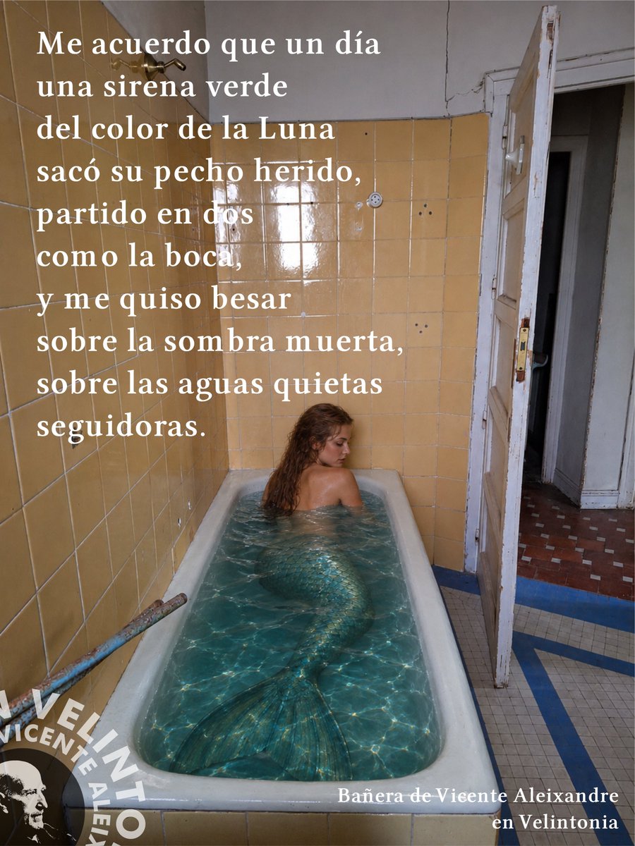 AleixandreMerlo's tweet photo. ENSOÑACIÓN VELINTONIANA https://t.co/xL6sMFvh65