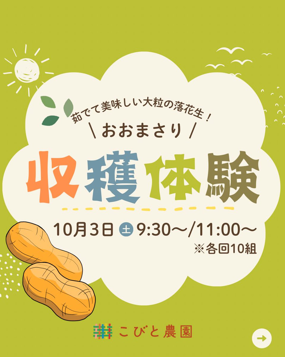 kobitofarm's tweet photo. 落花生収穫体験受付中🥜
10/3(土)9時半～、11時～
武蔵野市関前3-8
まだ参加枠に余裕があります！
大粒の落花生はゆ���るとホクホクに！
大人の方の参加も大歓迎です🙌
 #落花生収穫体験  #収穫体験 
https://t.co/y95VNnwrUe https://t.co/j2sMeTJQcR