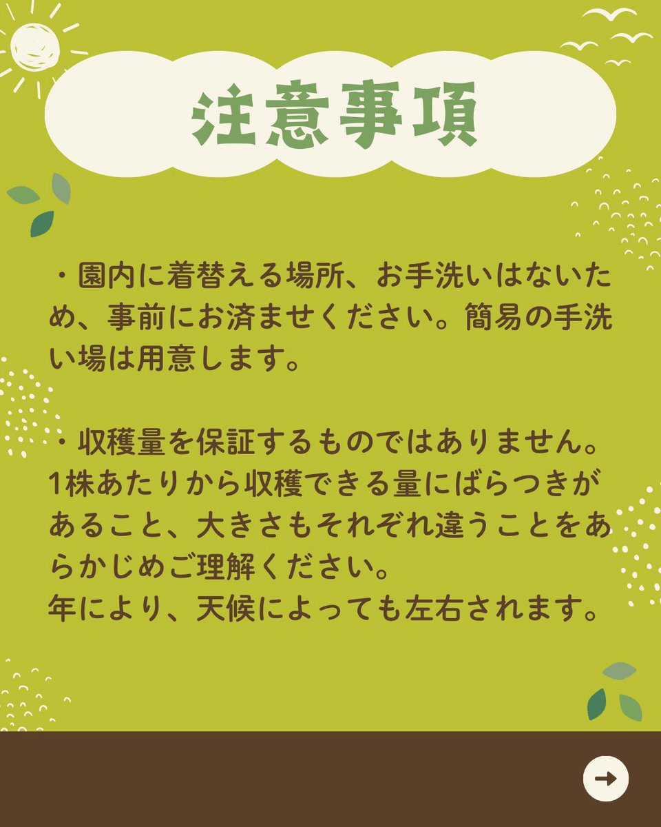 kobitofarm's tweet photo. 落花生収穫体験受付中🥜
10/3(土)9時半～、11時～
武蔵野市関前3-8
まだ参加枠に余裕があります！
大粒の落花生はゆ���るとホクホクに！
大人の方の参加も大歓迎です🙌
 #落花生収穫体験  #収穫体験 
https://t.co/y95VNnwrUe https://t.co/j2sMeTJQcR