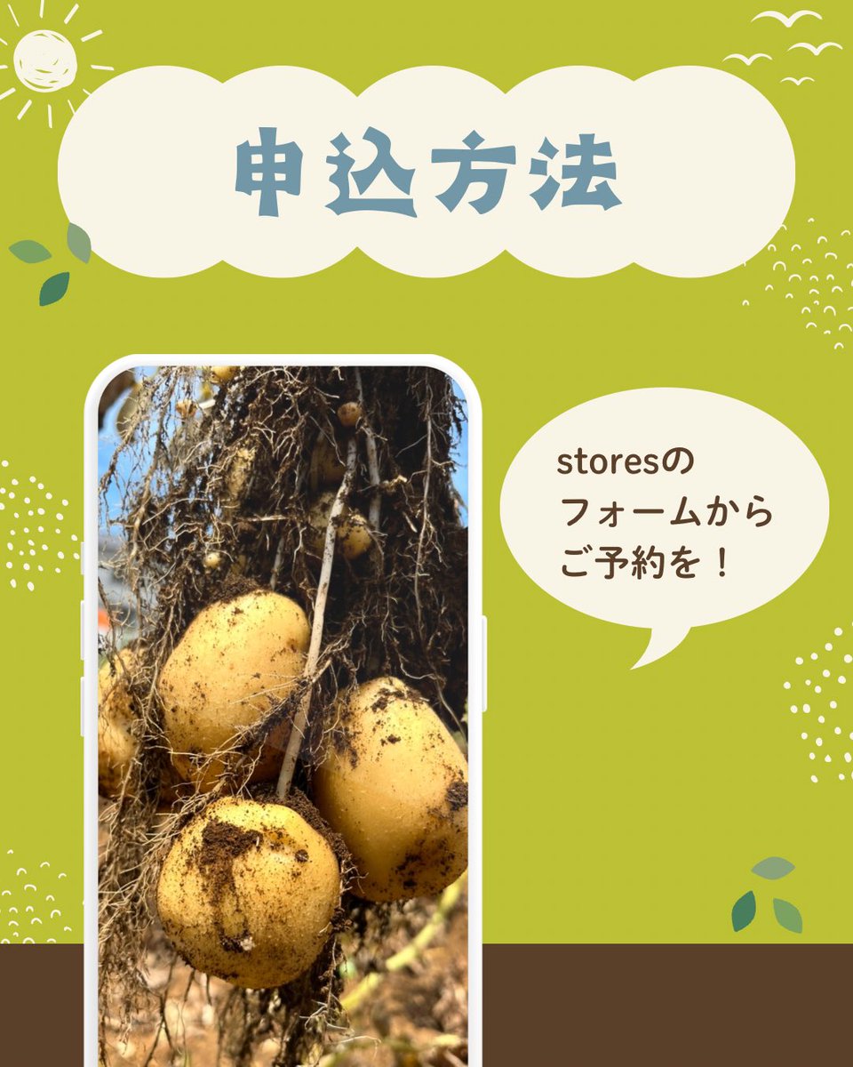 kobitofarm's tweet photo. 落花生収穫体験受付中🥜
10/3(土)9時半～、11時～
武蔵野市関前3-8
まだ参加枠に余裕があります！
大粒の落花生はゆ���るとホクホクに！
大人の方の参加も大歓迎です🙌
 #落花生収穫体験  #収穫体験 
https://t.co/y95VNnwrUe https://t.co/j2sMeTJQcR