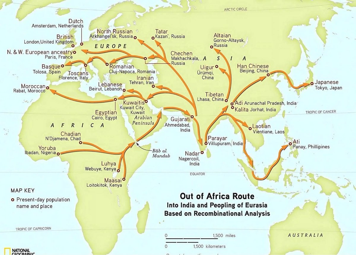 Jijith_NR's tweet photo. India served as a major hub for the early dispersal of modern humans! 

Why they hid this from you? 🔥

Not just a transit zone, but India was the foundational population center for all non-African humans!

It shaped the gene pool of West Eurasia (Europe, Iran), East Asia (China, Japan), and Oceania.

This is map of Human Genome Project. Here African migration directly comes into India through Arabian & South Iranian seashore through Gujarat.

This entry happened in 75,000 to 55,000 BCE. mtDNA M, Y-DNA F.

Migration from East Africa (via Bab-el-Mandab strait, into Arabian Peninsula), into southern coastal Iran, and then entry into India (Gujarat). This is also called the "Southern Route" of human migration from Africa.

Humans exit in two paths.🔥

1) through west towards Iran, Central Asia & Europe in ~45,000 to 35,000 BCE. mtDNA U, Y-DNA R1.

This is supported by the basal Eurasian ancestry found in ancient Near Eastern genomes and a "genetic trail from India to Europe".

2) through east towards Iran, China and South East Asia in 50,000 to 40,000 BCE. mtDNA M, R; Y-DNA C, K2b.

Y-DNA haplogroups C, D, and K found in East Asians, Papuans, and Aboriginal Australians derived from it.

Then what happened to the "Northern Route" also known as the "Levantine Route" (via Sinai and Israel into West Asia)?

North via Sinai Peninsula to Levant (Israel, Jordan) to Anatolia to Eurasia

Dating: ~100,000 BCE (older). 

No genetic continuity between those early Levant humans and later Eurasians! Died out or were absorbed by Neanderthals. No trail of mtDNA M or N (which all Eurasians descend from) through this route! 

So, it’s often called a "failed migration".🔥

All non-African humans today descend from mtDNA haplogroups M & N, and Y-DNA haplogroups C, D, F. These are not present in the early Levant fossils. Their oldest surviving branches are in India, Southeast Asia, and Oceania, not the Levant.

Ancient Eurasian genomes do not match the 100k-year-old Levantine fossils genetically.

Modern human genetic bottleneck (~60–70k years ago) aligns better with the "southern dispersal model"

The Levantine route reflects early exploratory dispersals of Homo sapiens. But it is considered a dead-end migration with no genetic legacy in present-day humans.

The "southern route" , as seen in National Geographic HGP map, remains the strongest model.