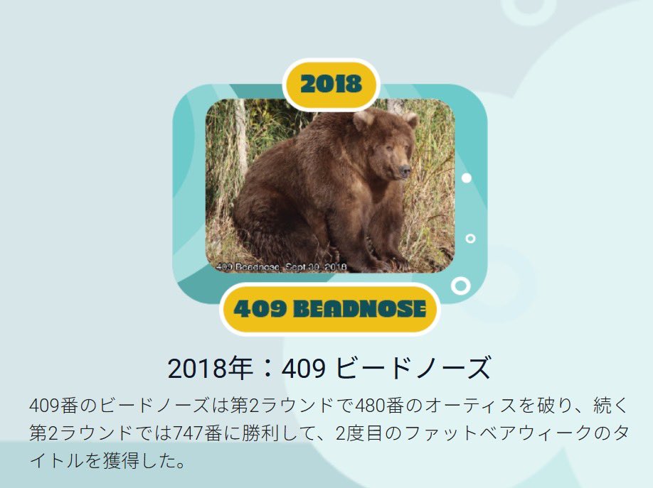 FavoriteBears's tweet photo. 910のお母さん(409 Beadnose)が2018年のチャンピオン🏆

89 Backpackのお母さん(435 Holly)は2019年にチャンピオン🏆

決勝でこの戦いが見たい‼️‼️

#HappyFatBearWeek 🐻🐟 https://t.co/S3sLWGDCNm
