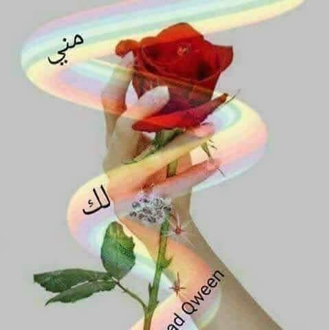 HamdonAnwar's tweet photo. @o_r_da الاتنين https://t.co/jltPjU290G