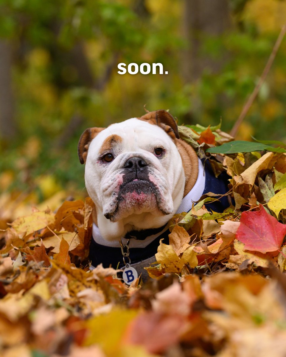 butleru's tweet photo. Excited for campus to look like this again soon. 🍁 https://t.co/tdMNF0qjMU