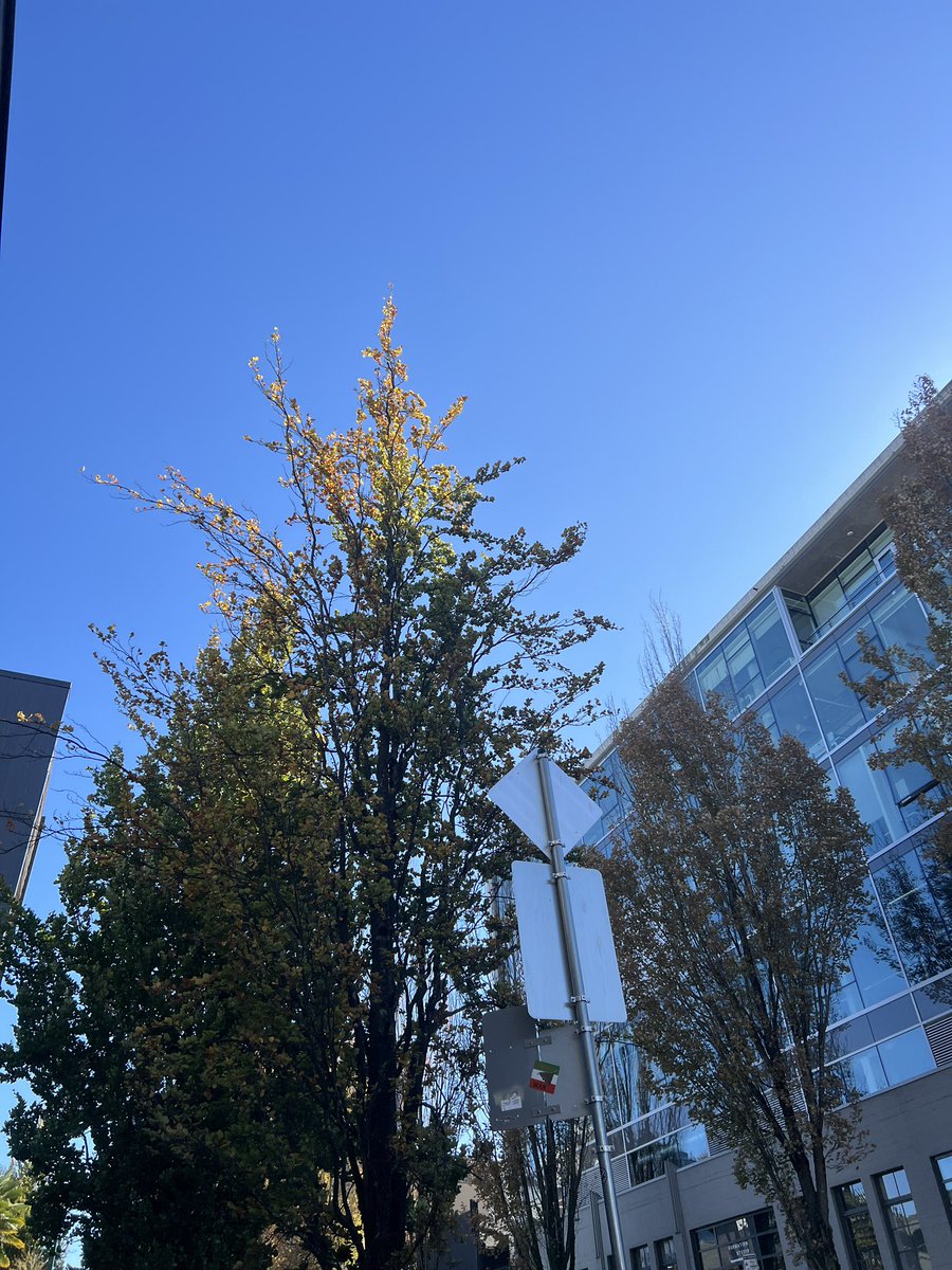 niroposting's tweet photo. Witness the changing of season https://t.co/u6HYmQp5ao
