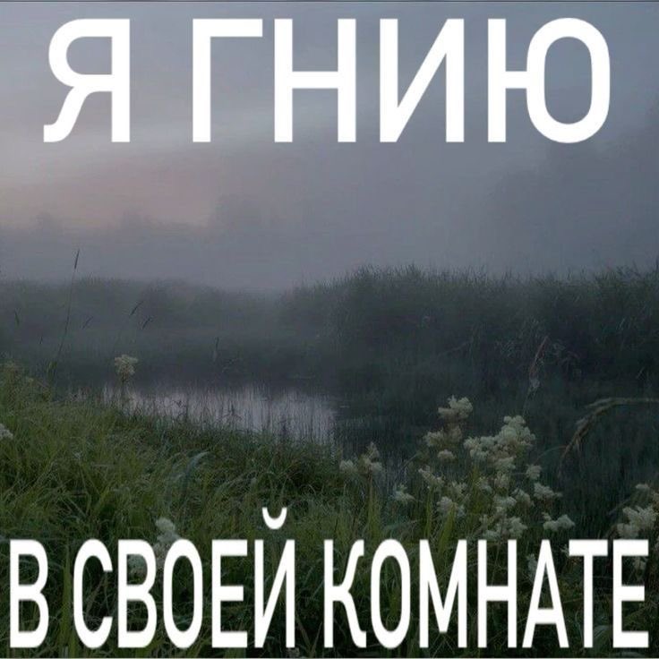 vijkiv's tweet photo. https://t.co/wlE2FYvlne