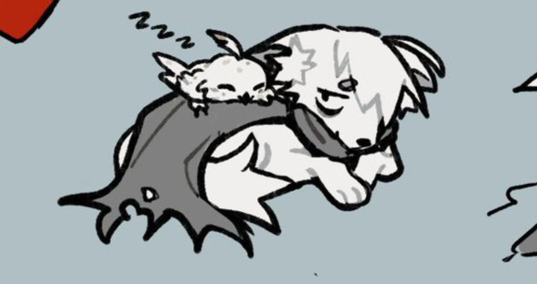 vavanessaaz's tweet photo. @kcaneko im gonna cry they're so cute https://t.co/fMop9C2Mhz