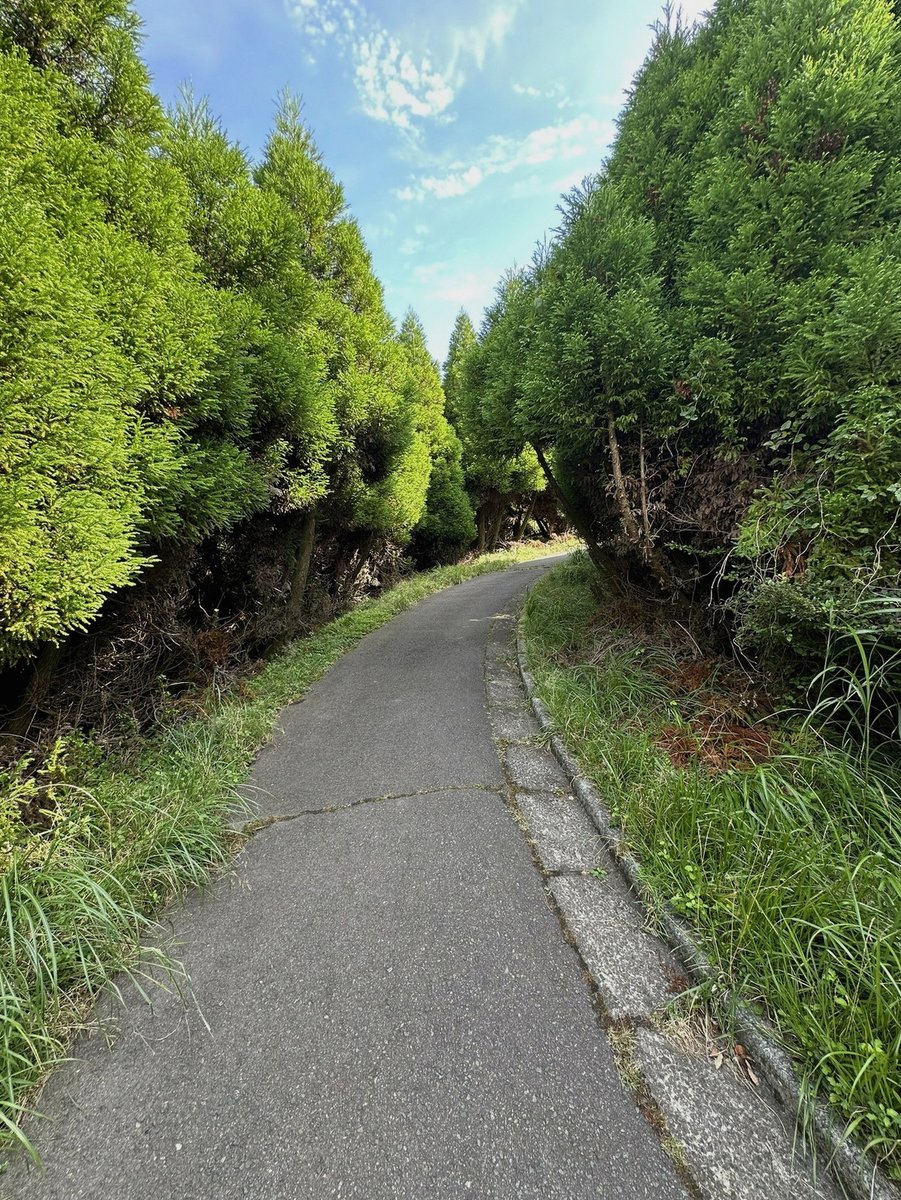 micayama's tweet photo. ポカニキはゆるめのテンションで行くか？って誘ってくるけど当日 所持品全部没収されてナイフだけ許される 地獄のサバイバルで ランサー思い出して
アイツ優しかったんだな って泣きそうになりながら火を起こしたい https://t.co/zKQNeJEEwK