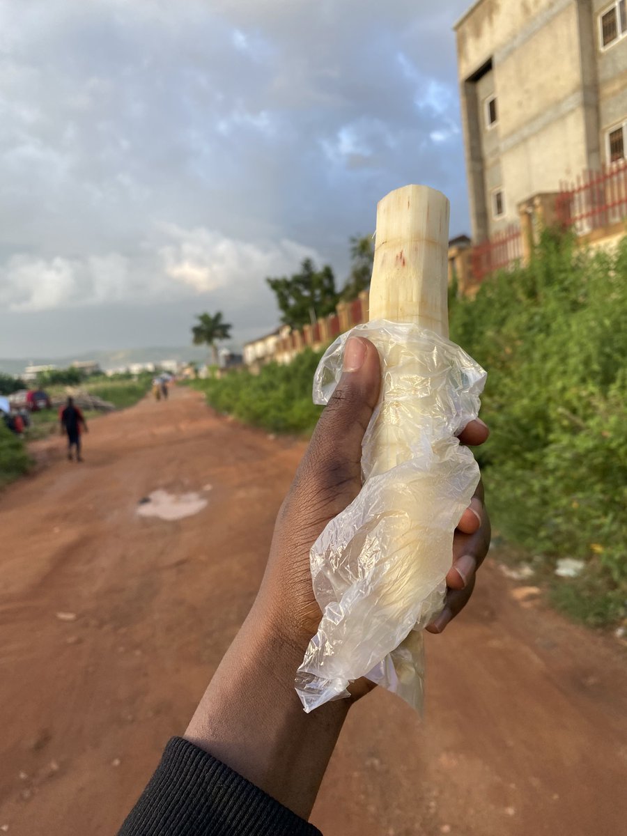 precy_oma's tweet photo. Doctors please what is the nutritional value of sugarcane??? https://t.co/sdmGVTuRsy