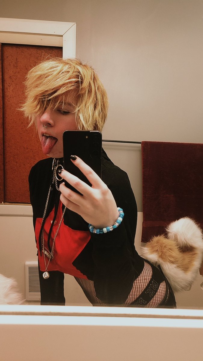 k9plushie's tweet photo. ☆ I'M A FUCKIN SUPERSTAR ! ☆ https://t.co/UOccDLnaMP
