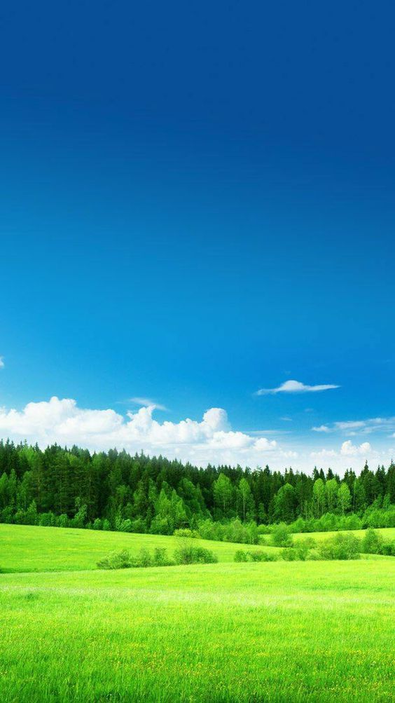 h_ming9li's tweet photo. Dream of low-carbon future, let passion burn bright for Earth! ， https://t.co/F9zlDiDK8r