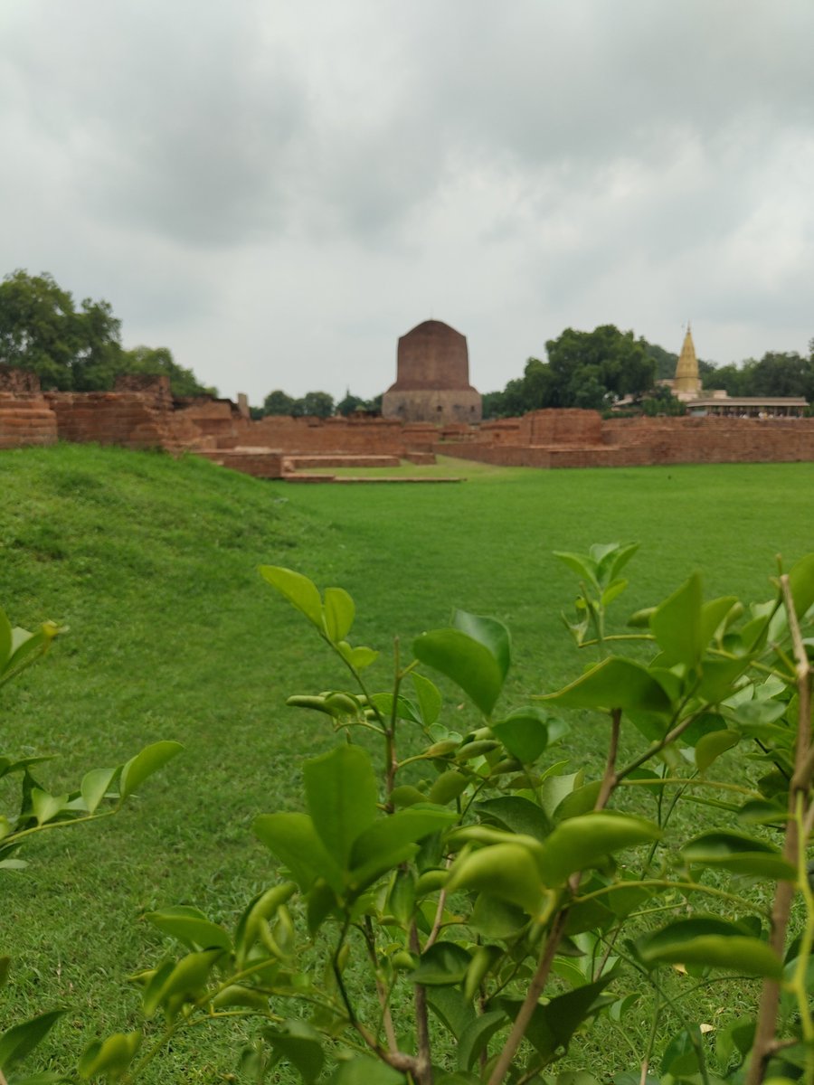 prime_monastery tweet picture