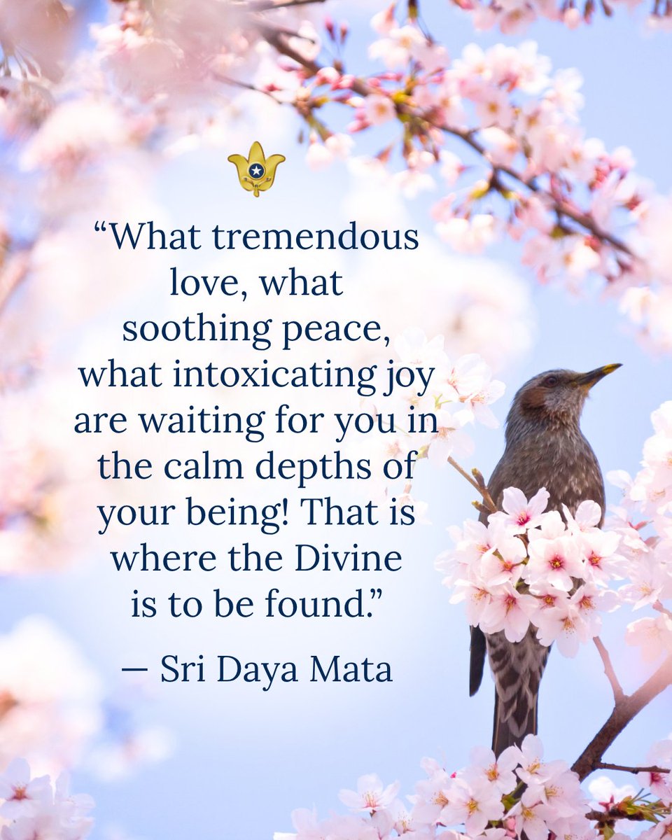 srfyogananda's tweet photo. “What tremendous love, what soothing peace, what intoxicating joy are waiting for you in the calm depths of your being! That is where the Divine is to be found.” — Sri Daya Mata 

#SriDayaMata #calm #peace #love #quote https://t.co/bKFqps47Vh