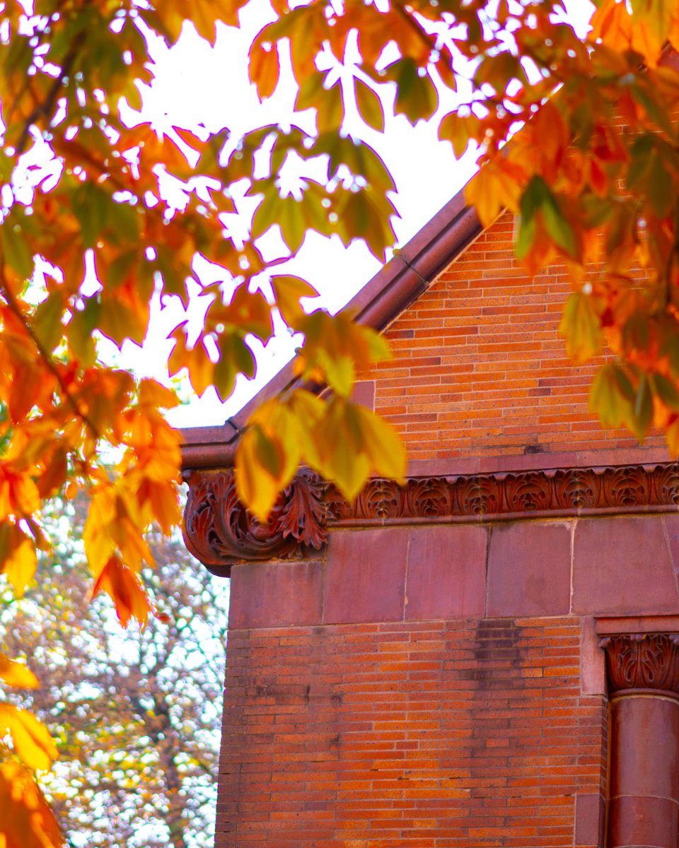 LafCol's tweet photo. New game, Leopards  🐾 
We're posting a close-up detail from somewhere on campus, you guess the building in the replies.
Can you name this first spot? 👀 https://t.co/scaawE3op3