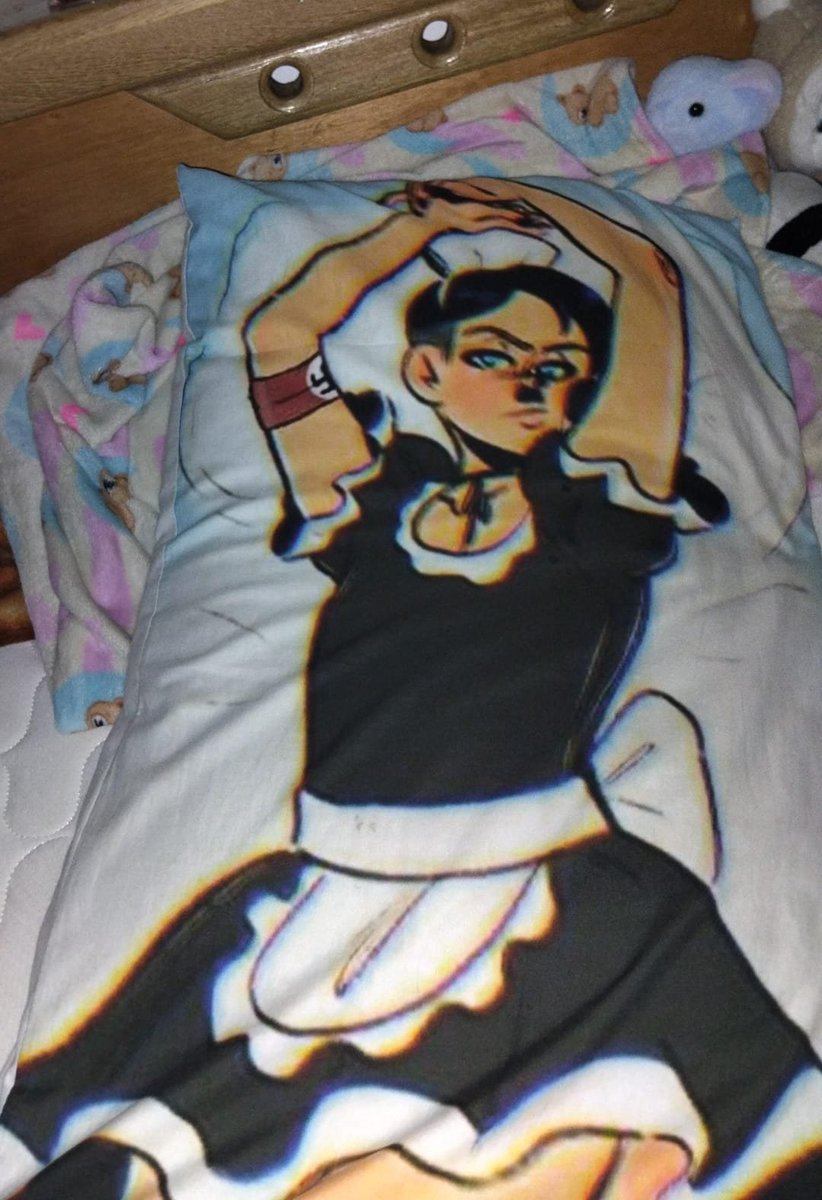 your_onkel9899's tweet photo. Hitler pillow complete. https://t.co/eNiQ8bEpum