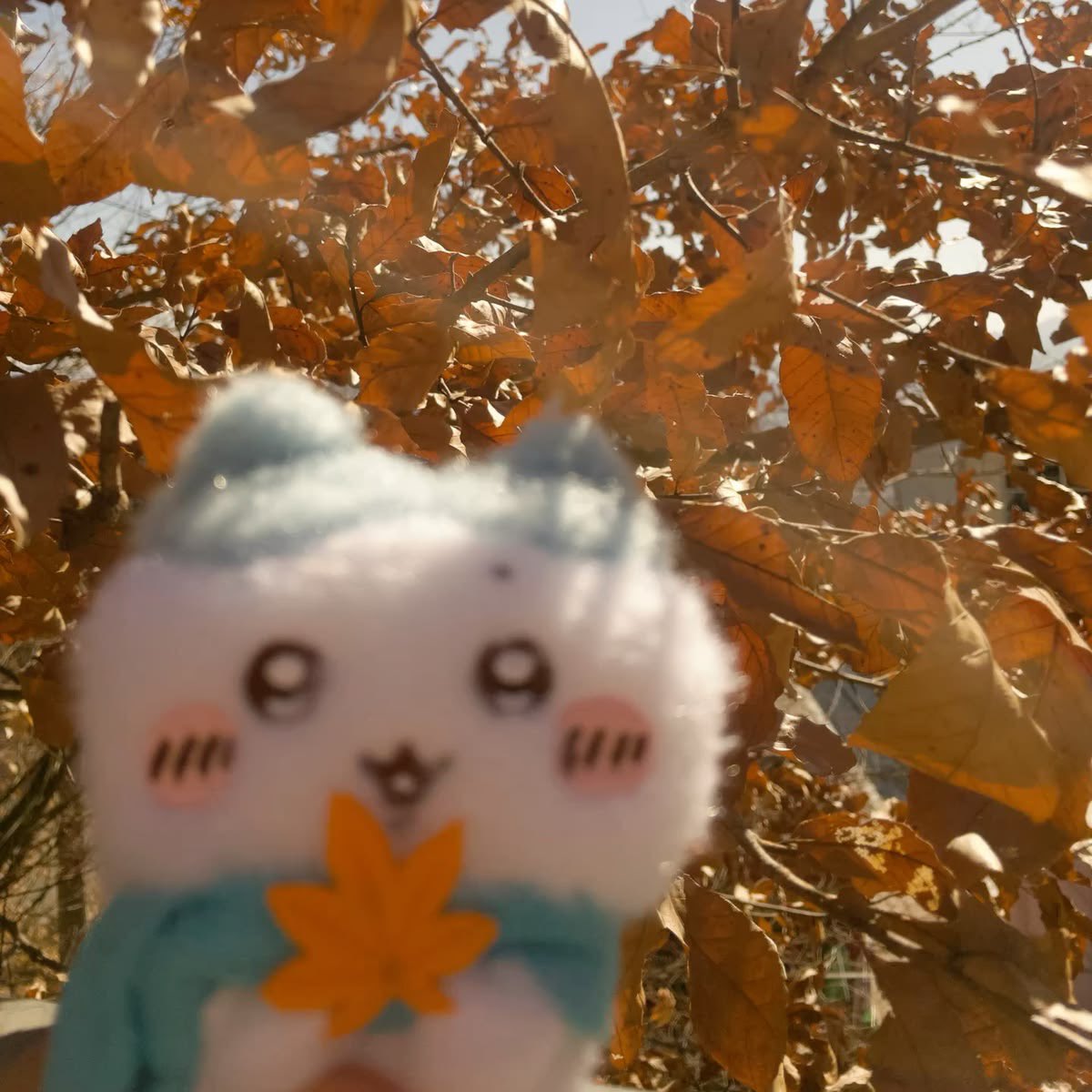 jasapplee's tweet photo. ݁ ˖Ი𐑼⋆
ᯓ✦ omad october 
·-accountability thread .ᐟ
————————
         #edrtwt 
———————— https://t.co/7fOVhH29MT