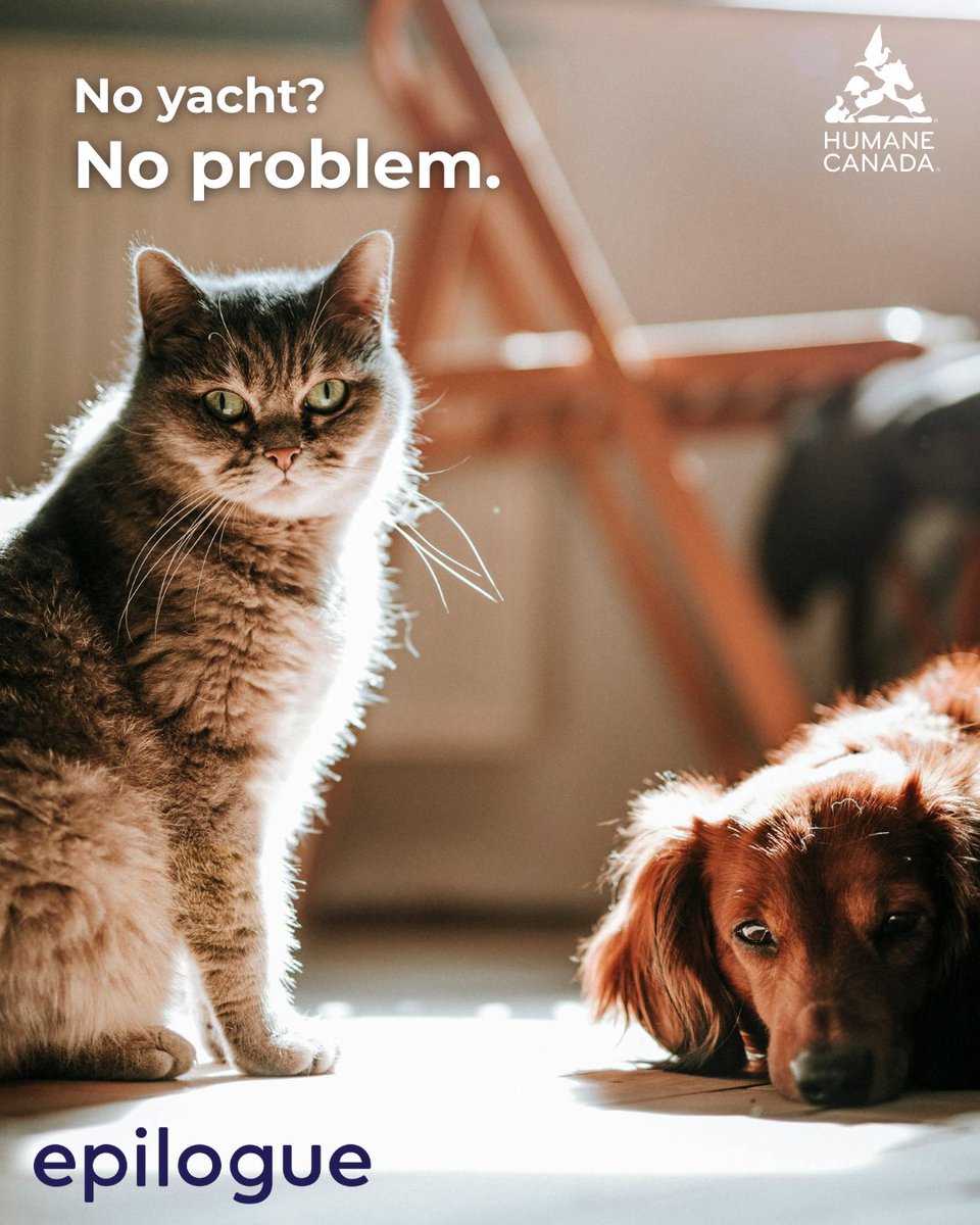 HumaneCanada's tweet photo. You don’t need a mansion, a trust fund, or a financial advisor on speed dial to leave a legacy. 

Through Humane Canada you'll save 20% off the cost of your Will. Leave a git of compassion today: https://t.co/WrWp9EraLb https://t.co/GkSbb81BqU
