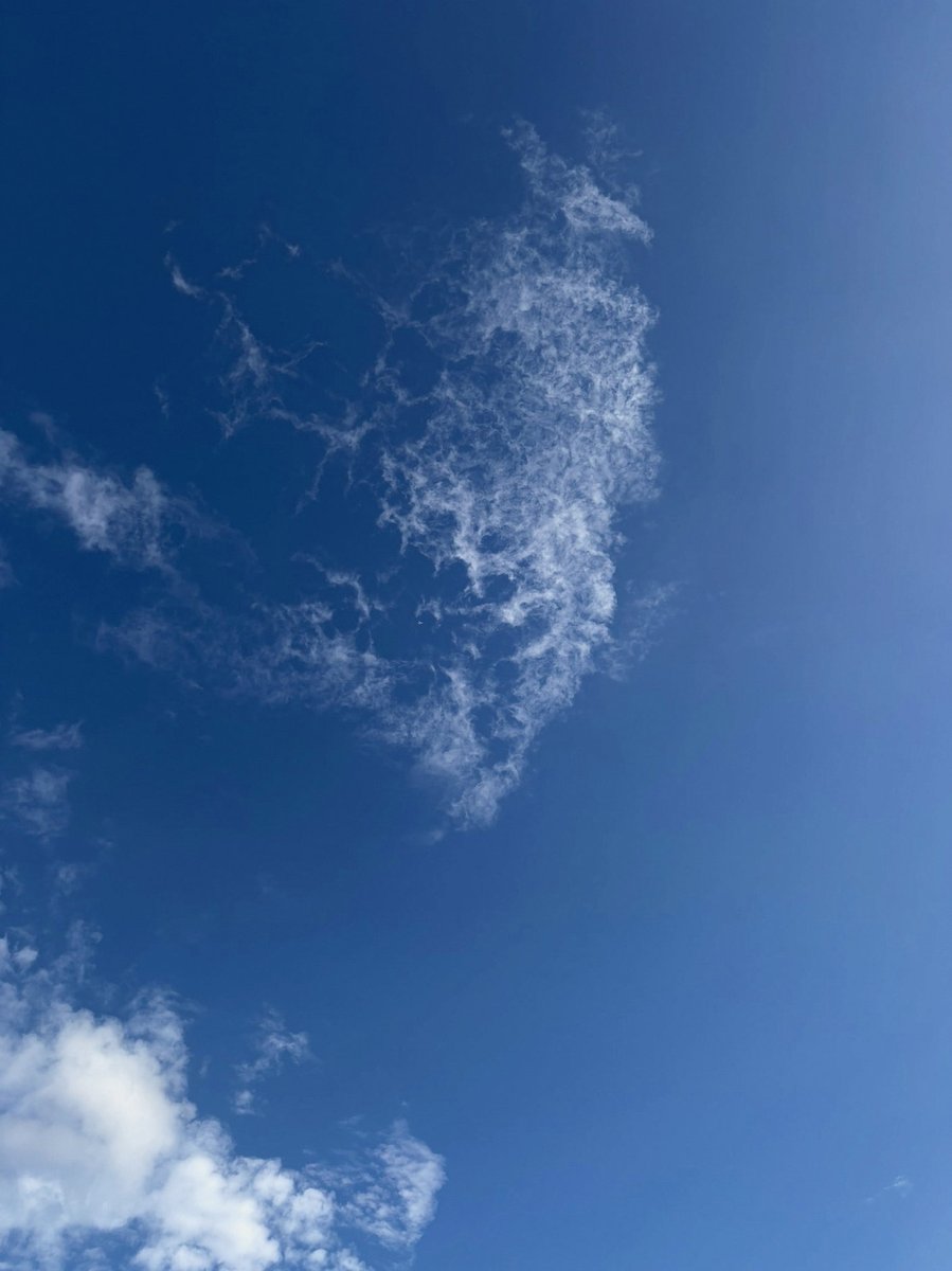 BlakeMattson's tweet photo. 洗車機って本当に全然綺麗にならないし、タイパが悪すぎて結局自分で洗った方がお得だし、そこそこ綺麗になれば十分って人はそもそもサブスク利用するほど洗車機使わないと思うんだよね。 https://t.co/NcHyvbcHrd