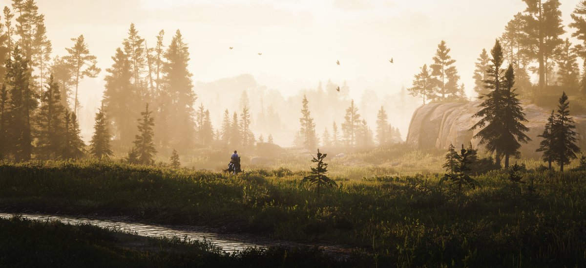 Ruleerx's tweet photo. Red Dead Redemption 2 https://t.co/UpWaji6AE5