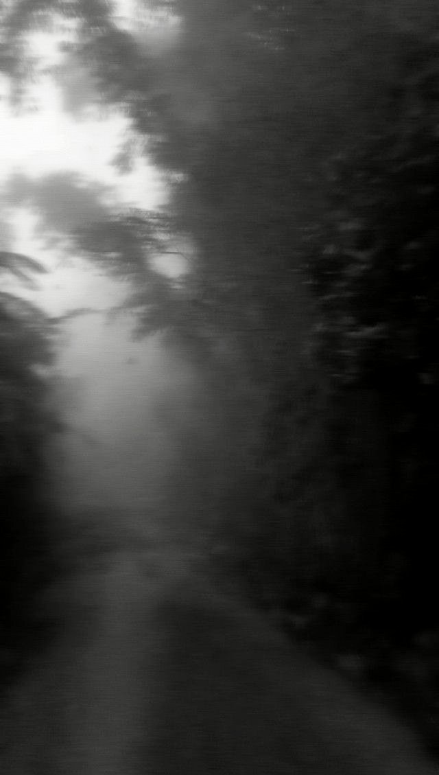 NIN75_'s tweet photo. The path....... https://t.co/TV4Rqql9nF