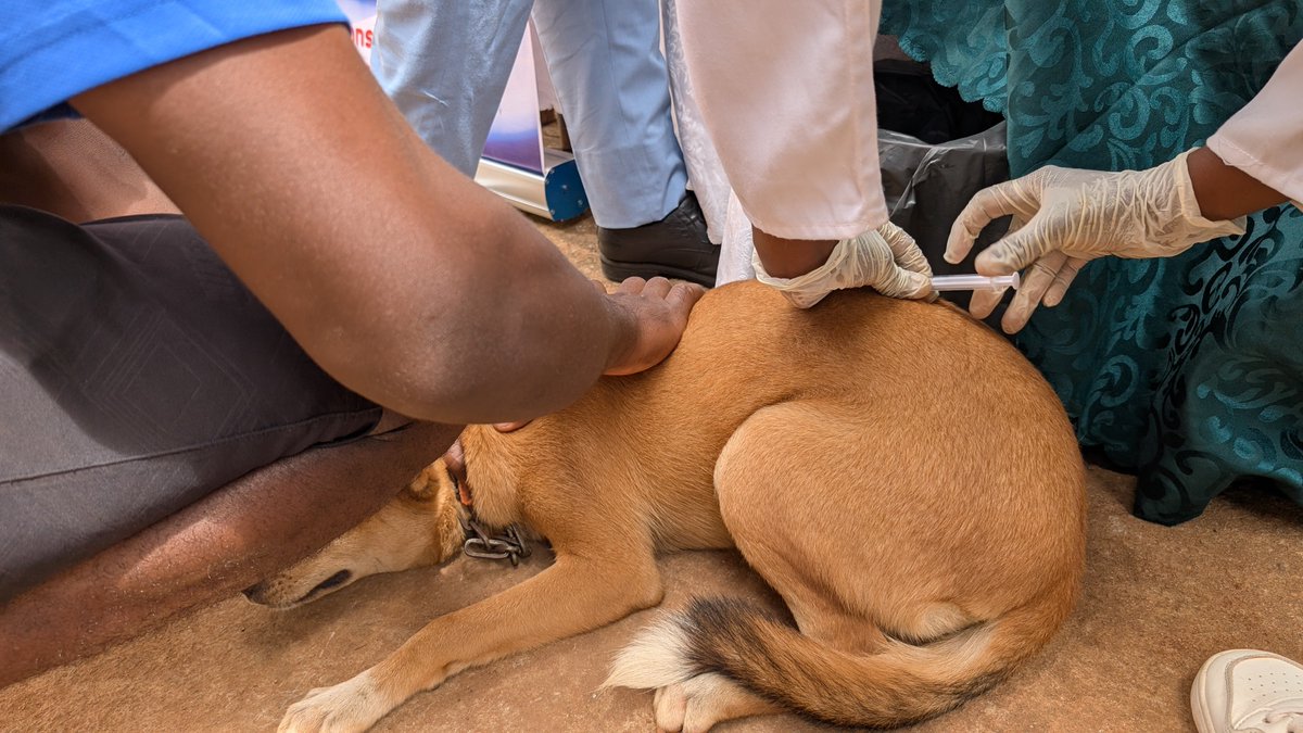 BloggersCM tweet picture