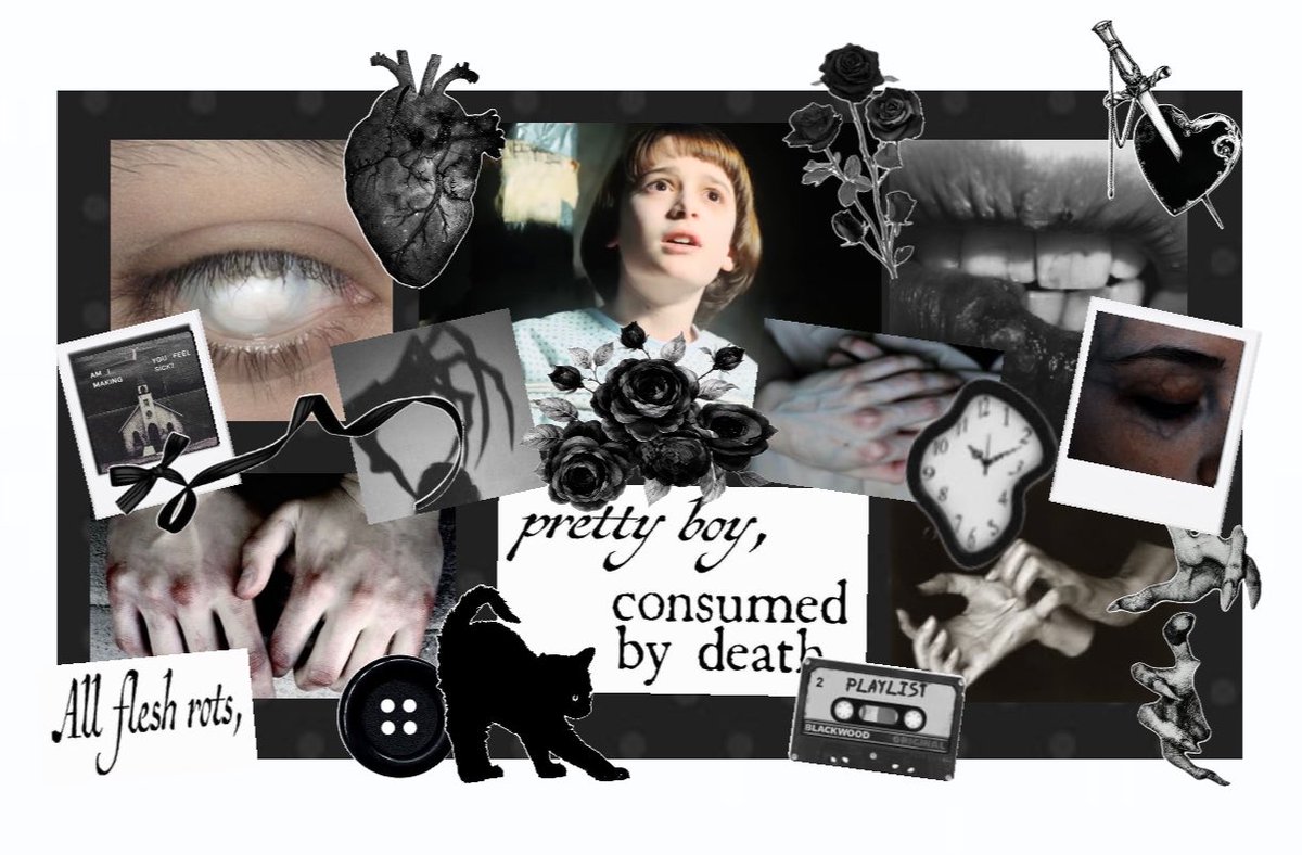 starringbrin's tweet photo. ୨ . ࣪  #my creepy will byers moodboard ﹚ 🐈‍⬛ ! https://t.co/VFi7ARdvy9