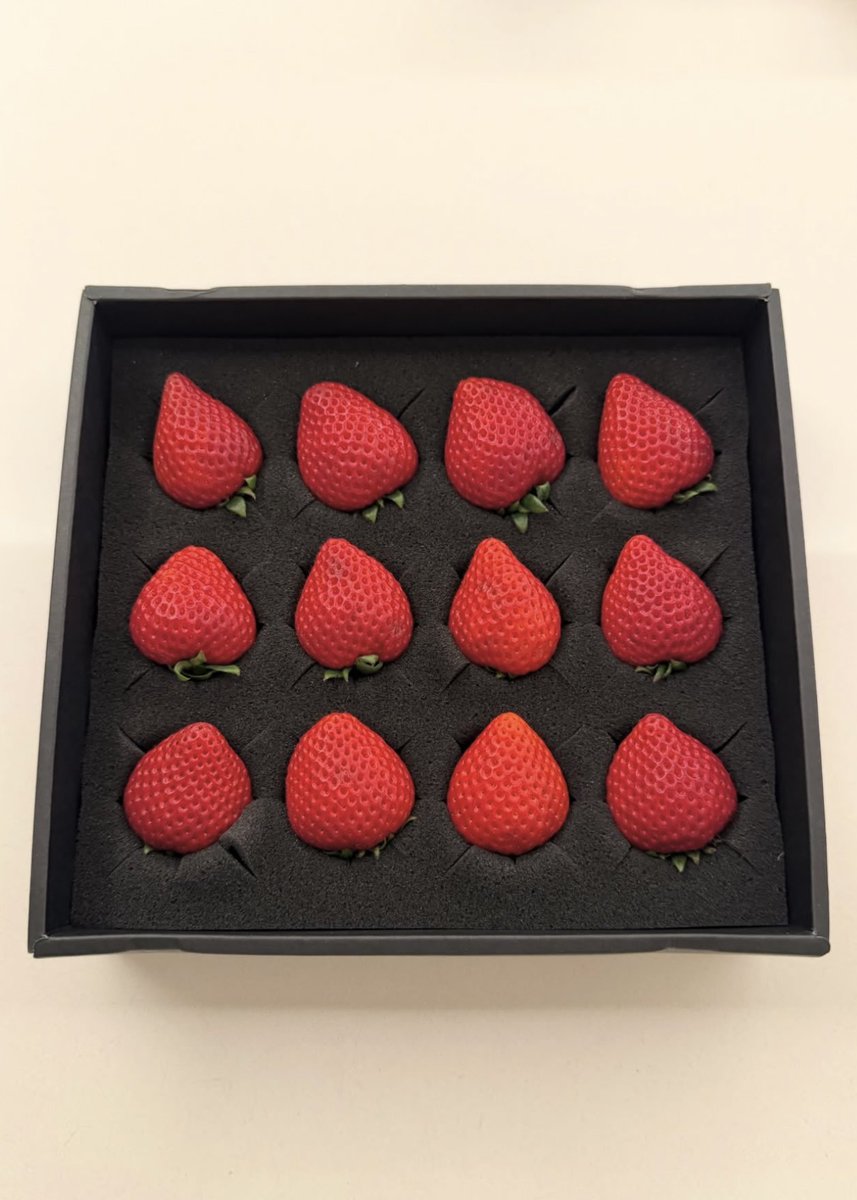 NeffGotNext's tweet photo. Sunday stroll 🍓 https://t.co/2gw8Kochgl
