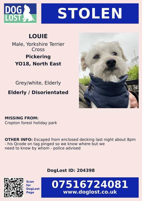 millypod1's tweet photo. UPDATED TO #STOLEN PLEASE SHARE.

🆘4 AUG 2026 #Lost Louie #ScanMe
ELDERLY Yorkshire Terrier Cross Male 
Cropton Forest Holiday Park #YO18 
County #Pickering #NorthYorkshire #Yorkshire
Escaped from enclosed decking https://t.co/hAGR2UO7DY https://t.co/K8X8EdAz13