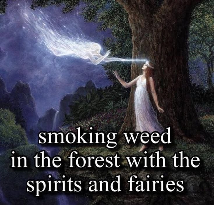 idekmadz's tweet photo. #weedtwt https://t.co/vsck7BHgew